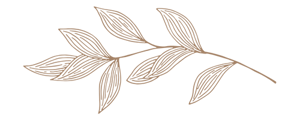 Untitled design (45)
